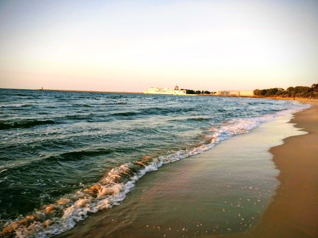 Park Brzeźnieński im. J. J. Haffnera